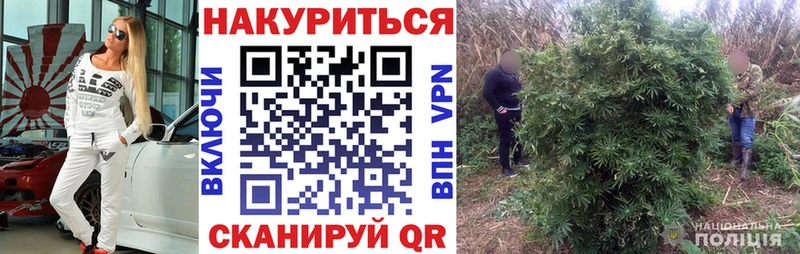 Как найти закладки Гдов Канабис  гидра зеркало  КОКАИН  Гашиш  МЕФ  A-PVP 