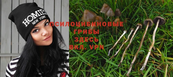 меф Медвежьегорск