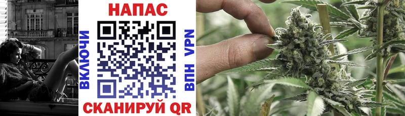 mega маркетплейс  Гдов  Канабис гибрид 